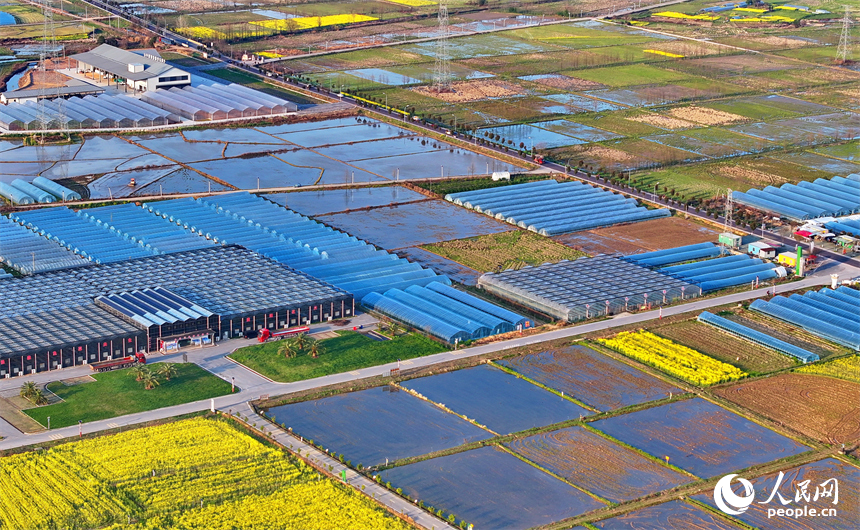 上饒市弋陽縣葛溪鄉繆家村，鱗次櫛比的蔬菜大棚與色彩斑斕的農田相映成景。人民網 朱海鵬攝