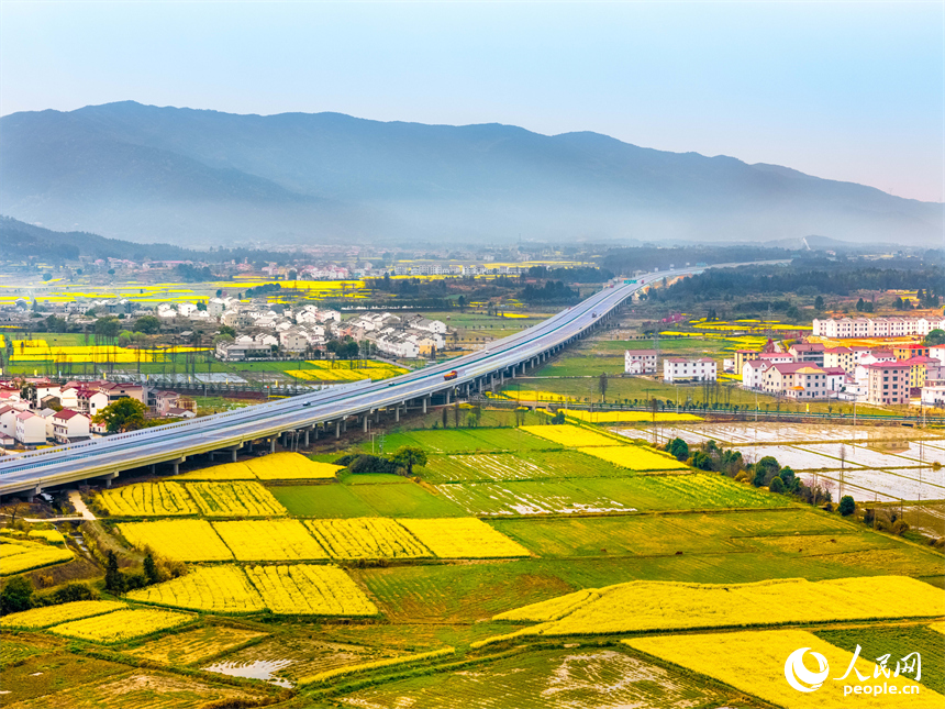 油菜花田與村莊、公路、群山構成一幅美麗畫卷。人民網 涂詩軒攝
