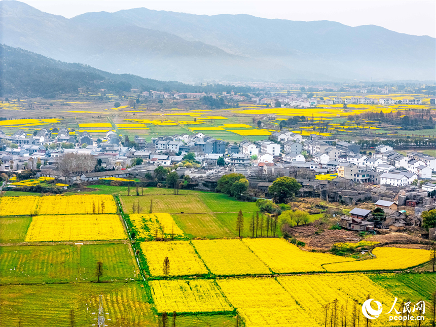油菜花田與村莊、公路、群山構成一幅美麗畫卷。人民網 涂詩軒攝