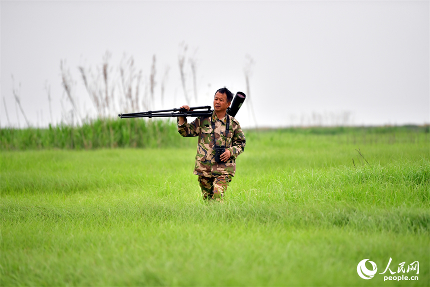 王小龍扛著望遠鏡在鄱陽湖湖區腹地徒步前行。人民網記者 時雨攝