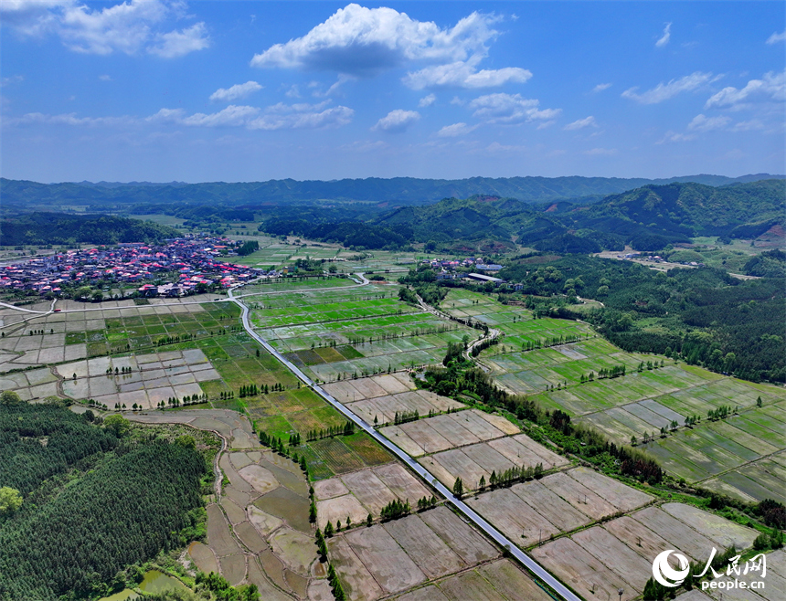 宜春市宜豐縣同安鄉明水村，連片的高標準農田與山巒、村莊、公路相映成景。人民網 朱海鵬攝