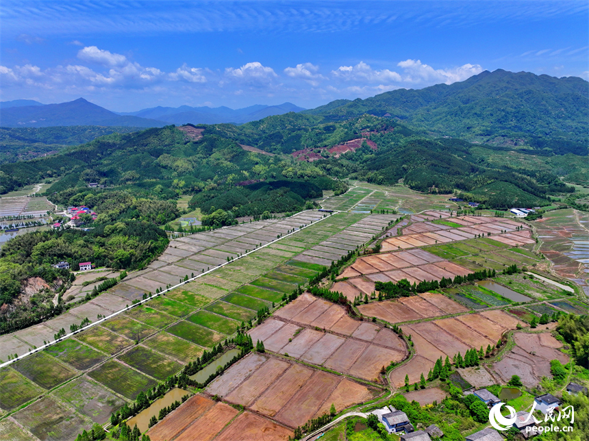 宜春市宜豐縣同安鄉明水村，連片的高標準農田與山巒、村莊、公路相映成景。人民網 朱海鵬攝