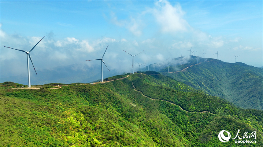 贛州市石城縣八卦腦景區，迎風旋轉的風力發電機與杜鵑花、云海、群山交相輝映。人民網 朱海鵬攝