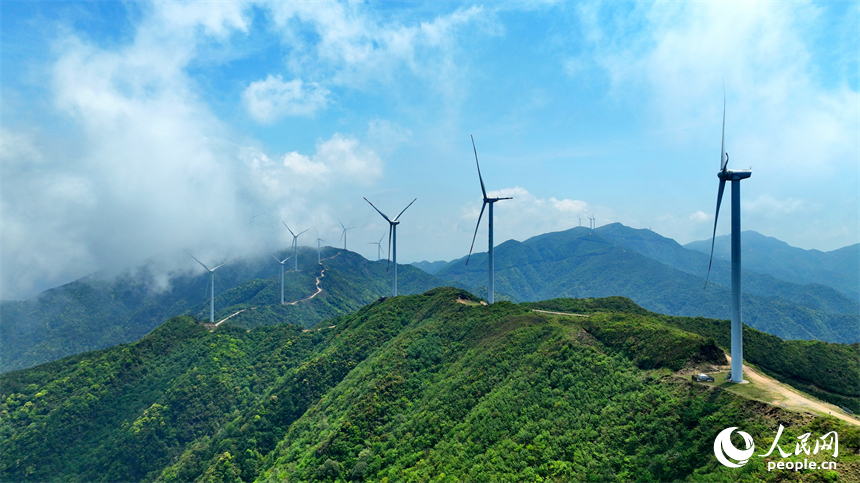 贛州市石城縣八卦腦景區，迎風旋轉的風力發電機與杜鵑花、云海、群山交相輝映。人民網 朱海鵬攝