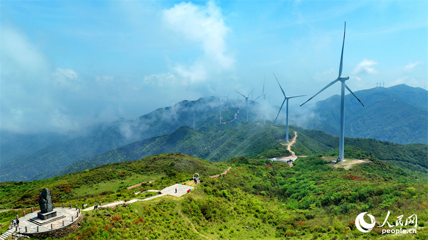 贛州市石城縣八卦腦景區，迎風旋轉的風力發電機與杜鵑花、云海、群山交相輝映。人民網 朱海鵬攝