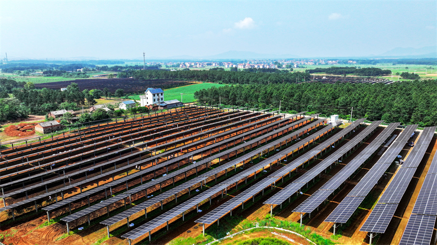 一排排光伏板在太陽的照耀下熠熠生輝。廖敏攝