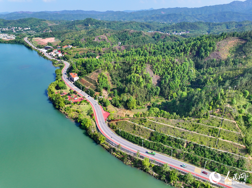 贛州市上猶縣東山鎮，車輛在環湖公路行駛，沿線水清岸綠景美春意濃。人民網 朱海鵬攝