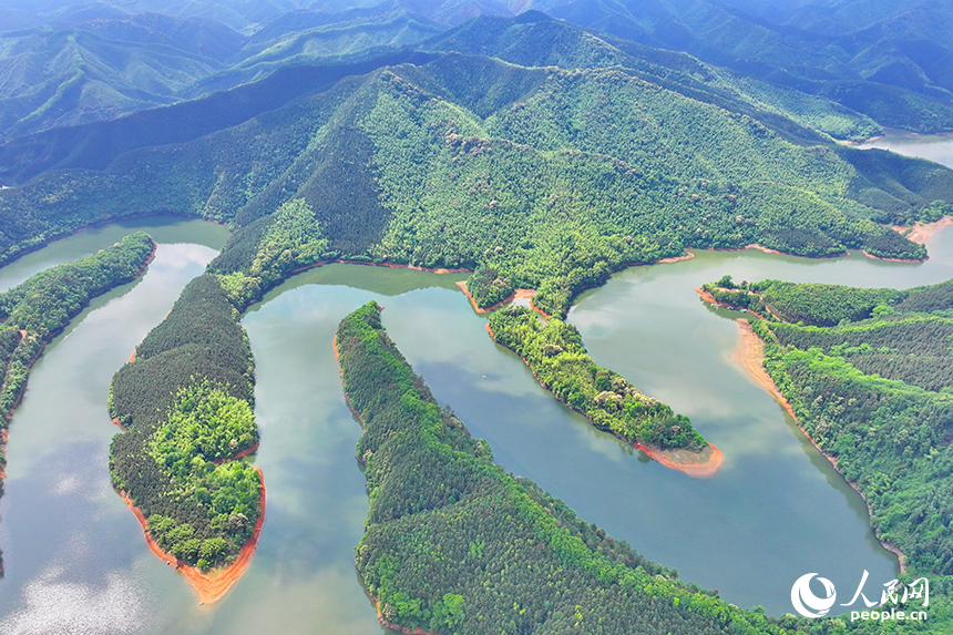 贛州市大余縣油羅口水庫周邊群山環抱，林木蔥郁。人民網 朱海鵬攝