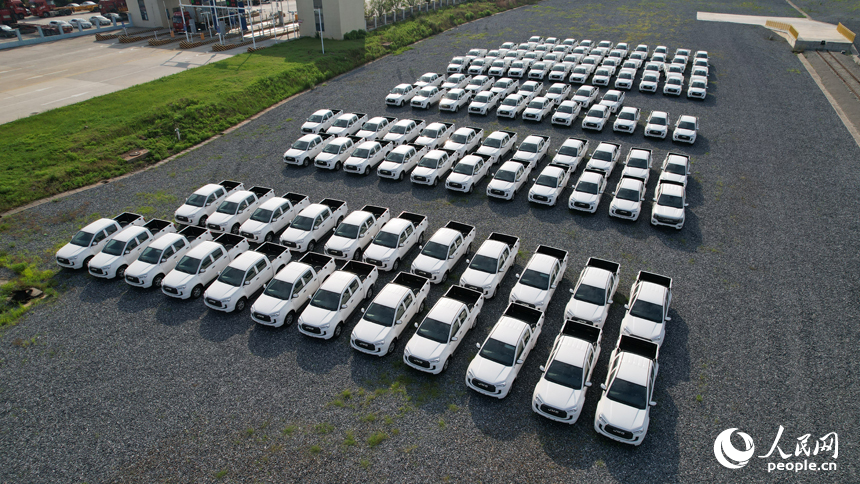 等待裝箱的“江西制造”汽車。人民網記者 毛思遠攝