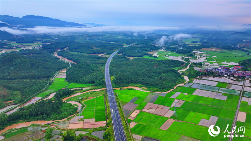 吉安市吉水縣文峰鎮葛山村，山巒起伏、水潤田疇、云霧繚繞，構成一幅初夏美麗鄉村田園圖景。人民網 朱海鵬攝