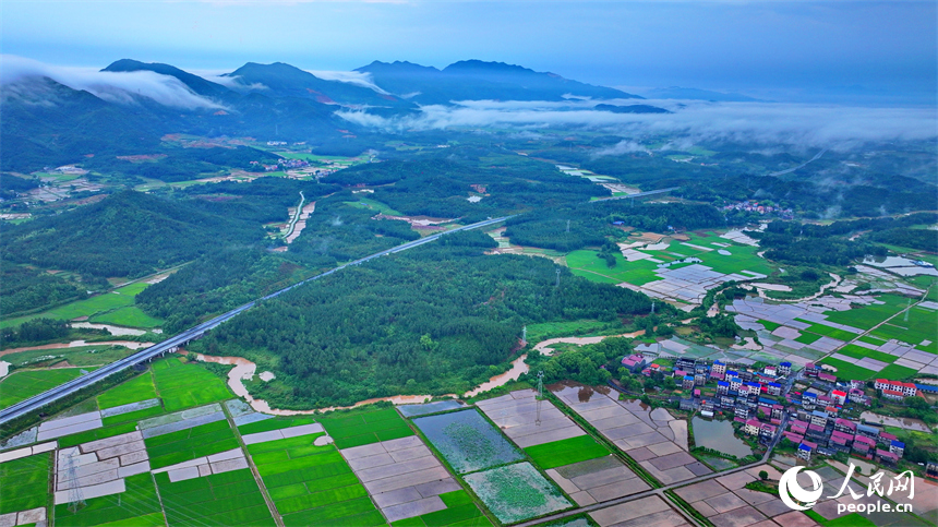 吉安市吉水縣文峰鎮葛山村，山巒起伏、水潤田疇、云霧繚繞，構成一幅初夏美麗鄉村田園圖景。人民網 朱海鵬攝