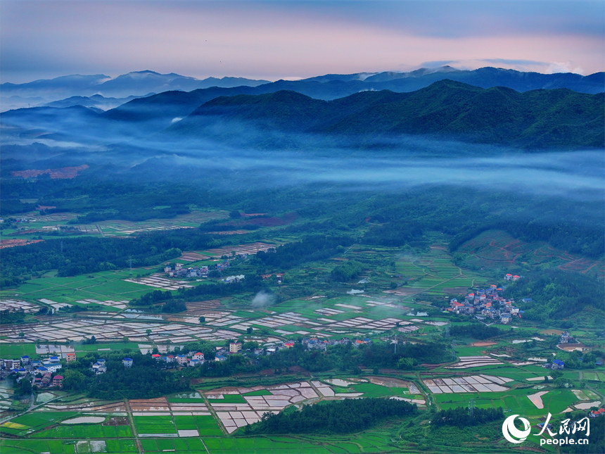 吉安市吉水縣文峰鎮葛山村，山巒起伏、水潤田疇、云霧繚繞，構成一幅初夏美麗鄉村田園圖景。人民網 朱海鵬攝