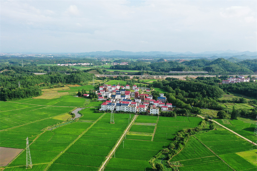 沃野綠意盎然，美不勝收。