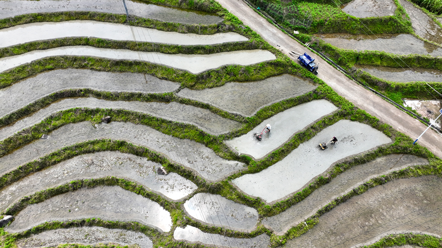 村民們在梯田耕作，忙碌的身影與層層疊疊的梯田交相輝映。鄧龍華攝