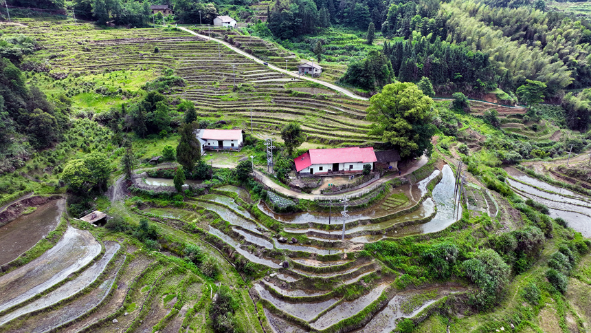村民們在梯田耕作，忙碌的身影與層層疊疊的梯田交相輝映。鄧龍華攝
