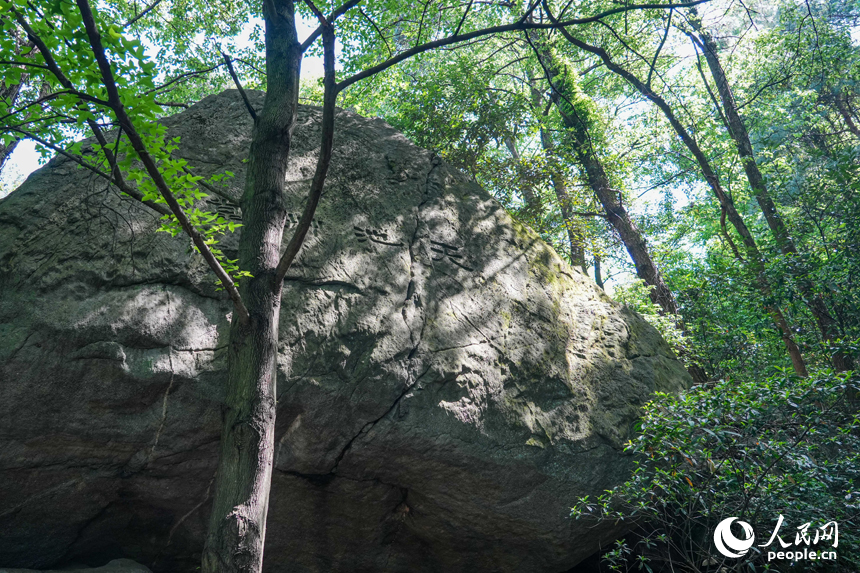 天池草堂遺址。人民網 涂詩軒攝