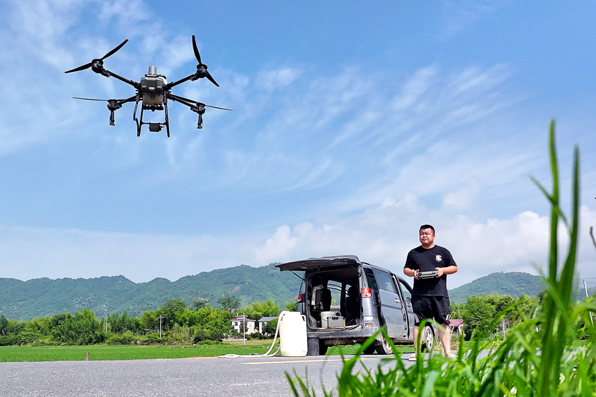 種田大戶李宏剛操作農用無人機給早稻禾苗噴藥施肥。何賤來攝