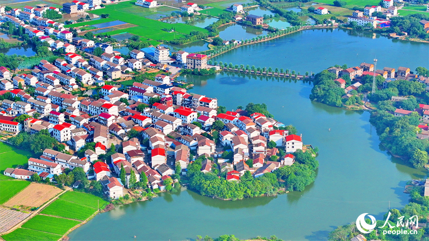 南昌市南昌縣富山鄉灘上村，田園碧水環繞、農房錯落有致，夏日鄉村美景怡人。人民網 朱海鵬攝