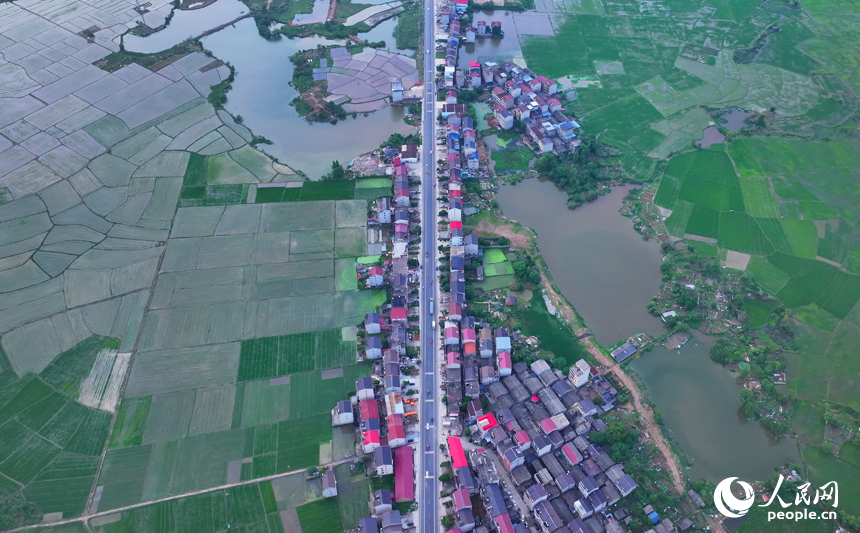 豐城市劍南街道荷塘村，車輛往來疾馳，鄉村公路與周邊連片的農田、房屋、養殖基地相映成景。人民網 朱海鵬攝