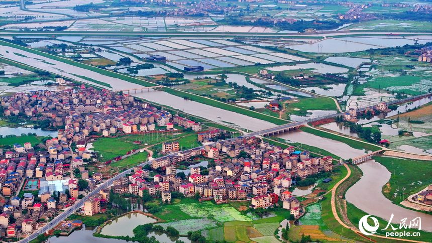 豐城市劍南街道荷塘村，車輛往來疾馳，鄉村公路與周邊連片的農田、房屋、養殖基地相映成景。人民網 朱海鵬攝