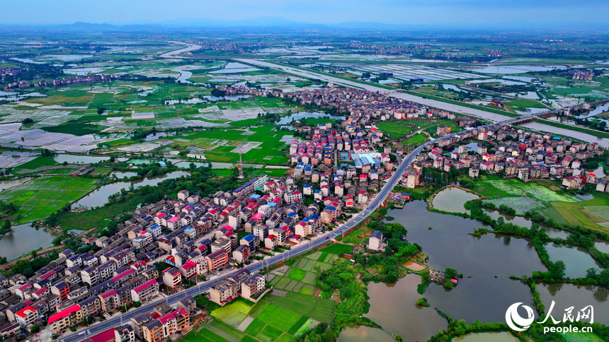 豐城市劍南街道荷塘村，車輛往來疾馳，鄉村公路與周邊連片的農田、房屋、養殖基地相映成景。人民網 朱海鵬攝