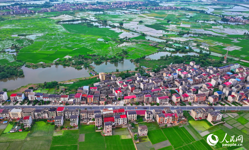 豐城市劍南街道荷塘村，車輛往來疾馳，鄉村公路與周邊連片的農田、房屋、養殖基地相映成景。人民網 朱海鵬攝