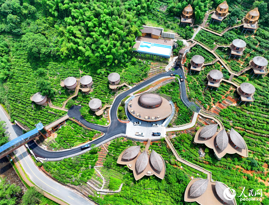 贛州市上猶縣梅水鄉園村村的一處露營基地，一棟棟民宿小木屋與青山、竹林、茶園相映襯。人民網 朱海鵬攝