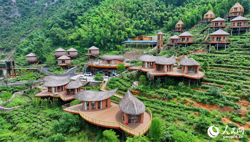 贛州市上猶縣梅水鄉園村村的一處露營基地，一棟棟民宿小木屋與青山、竹林、茶園相映襯。人民網 朱海鵬攝