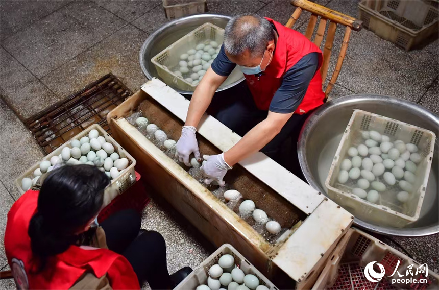 江西省瑞金市壬田鎮鳳崗村的廖奶奶咸鴨蛋合作社里，村民正在清洗收購的鮮鴨蛋。人民網記者 時雨攝