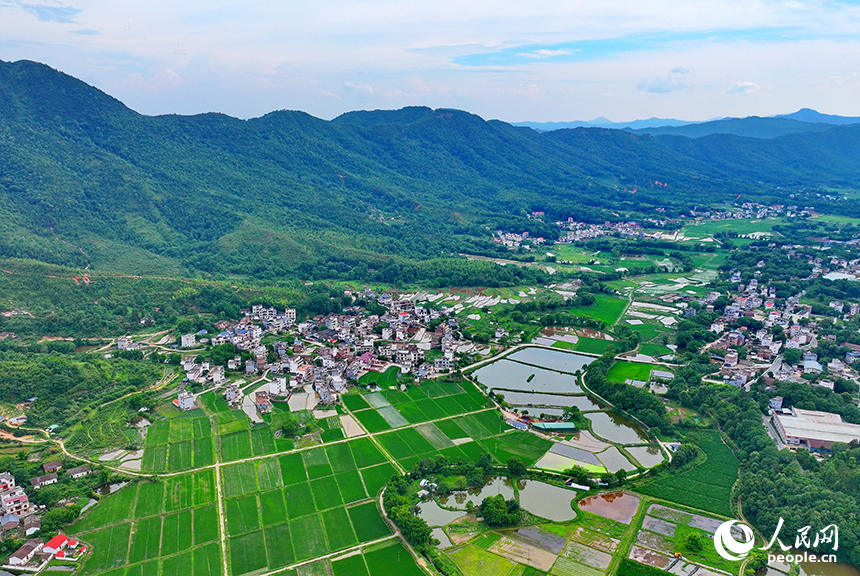 贛州市南康區龍回鎮龍東村，車輛在大廣高速公路上往來馳騁，沿線鄉村田園夏日美景怡人。人民網 朱海鵬攝