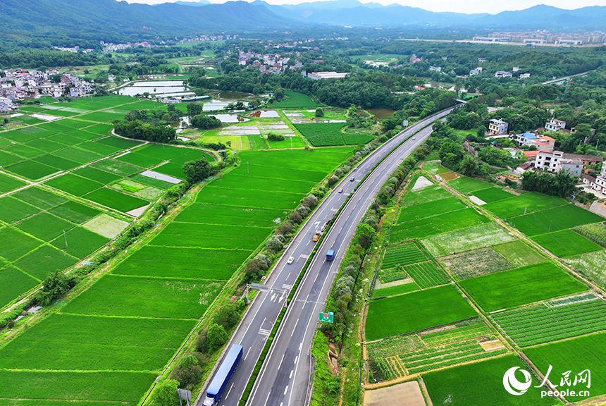 贛州市南康區龍回鎮龍東村，車輛在大廣高速公路上往來馳騁，沿線鄉村田園夏日美景怡人。人民網 朱海鵬攝