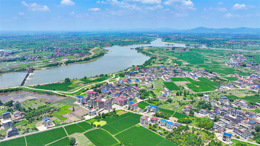 2025年6月4日，在江西省撫州市臨川區上頓渡鎮周家村，水量充沛的河流與農田、民居相映成趣。郭昊攝