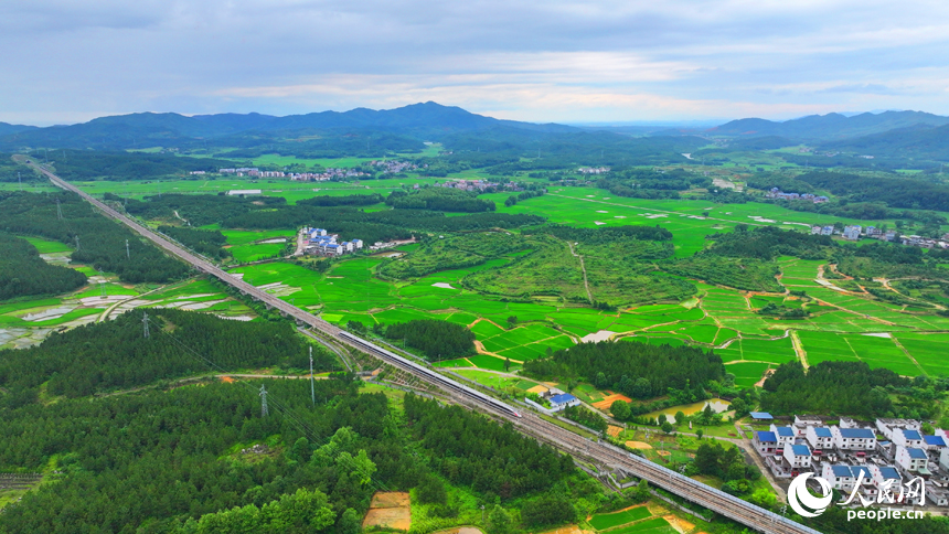 吉安市吉水縣醪橋鎮日崗村，昌贛高鐵列車穿行而過。人民網 朱海鵬攝
