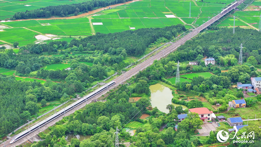 吉安市吉水縣醪橋鎮日崗村，昌贛高鐵列車穿行而過。人民網 朱海鵬攝