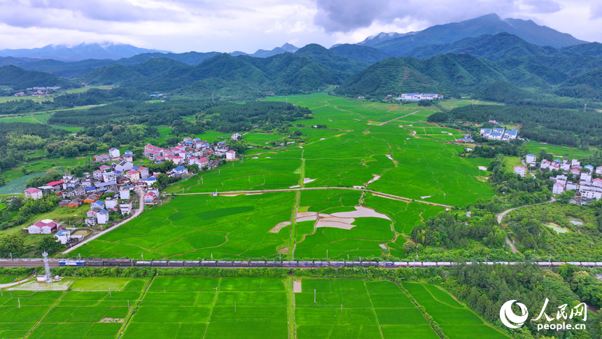 吉安市吉水縣醪橋鎮日崗村，京九鐵路貨運列車穿行而過。人民網 朱海鵬攝