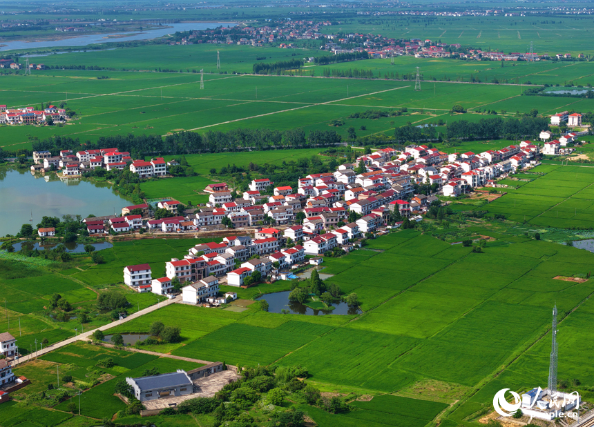 南昌縣涇口鄉，廣袤的田野與村落、公路、河流共同構成一幅美麗的鄉村畫卷。人民網記者 毛思遠攝