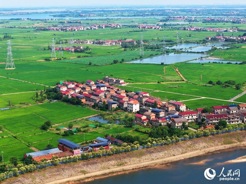 南昌縣涇口鄉，廣袤的田野與村落、公路、河流共同構成一幅美麗的鄉村畫卷。人民網記者 毛思遠攝