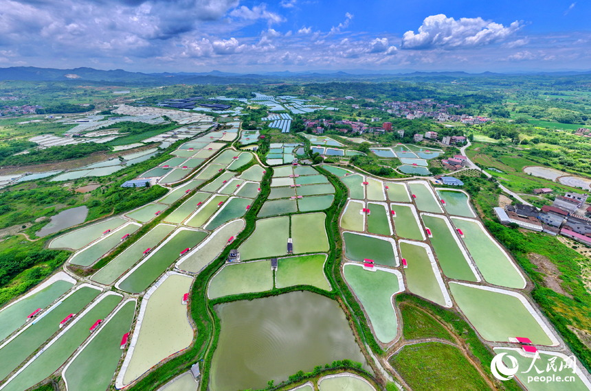 撫州市南豐縣萊溪鄉農光互補生態養殖基地，色彩斑斕的甲魚塘如同大地調色盤。人民網 朱海鵬攝