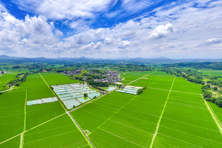 江西省撫州市南豐縣萊溪鄉黃滿村，翠綠的稻田與道路、山巒、民居相映成景。謝東攝