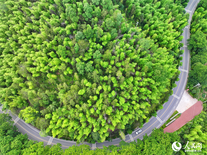 贛州市上猶縣陡水鎮，車輛在農村公路上行駛，沿線水清景美綠意濃。人民網 朱海鵬攝
