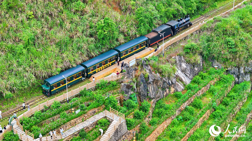上猶縣梅水鄉，游客在站臺搭乘森林小火車，暢游綠色生態和美鄉村。 人民網 朱海鵬攝