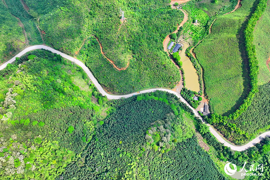 贛州市大余縣浮江鄉通村公路兩旁生機勃勃，生態修復后的礦山綠意盎然。人民網 朱海鵬攝
