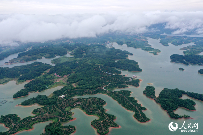 武寧縣廬山西海中形態各異的島嶼在雨后被云霧環繞。人民網記者 時雨攝