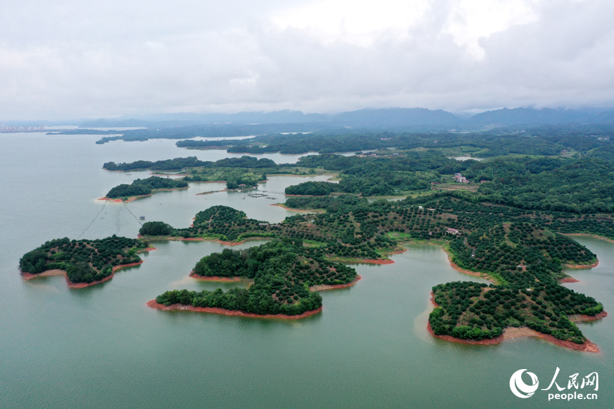 武寧縣廬山西海中形態各異的島嶼上郁郁蔥蔥，吸引不少游客前來游玩。人民網記者 時雨攝