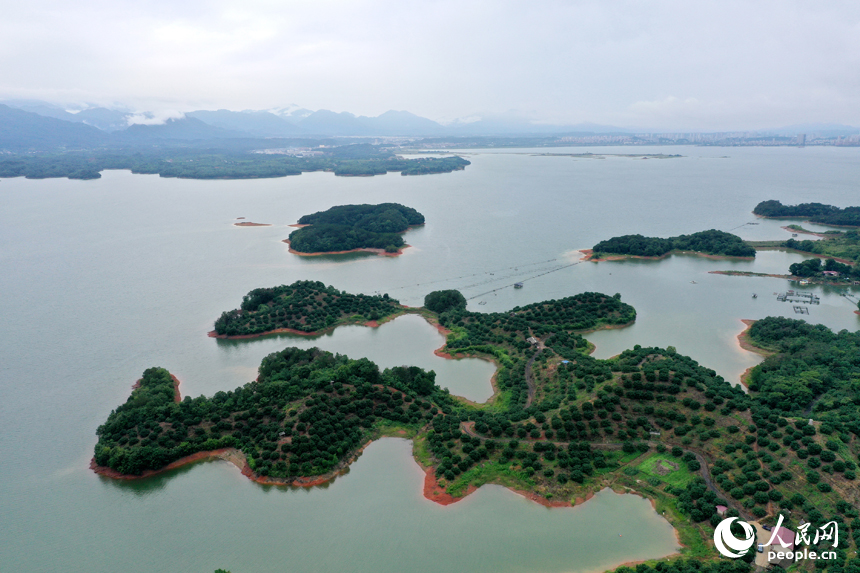 2025年6月15日，江西省九江市，武寧縣廬山西海中形態各異的島嶼上郁郁蔥蔥，吸引不少游客前來游玩。人民網記者 時雨攝