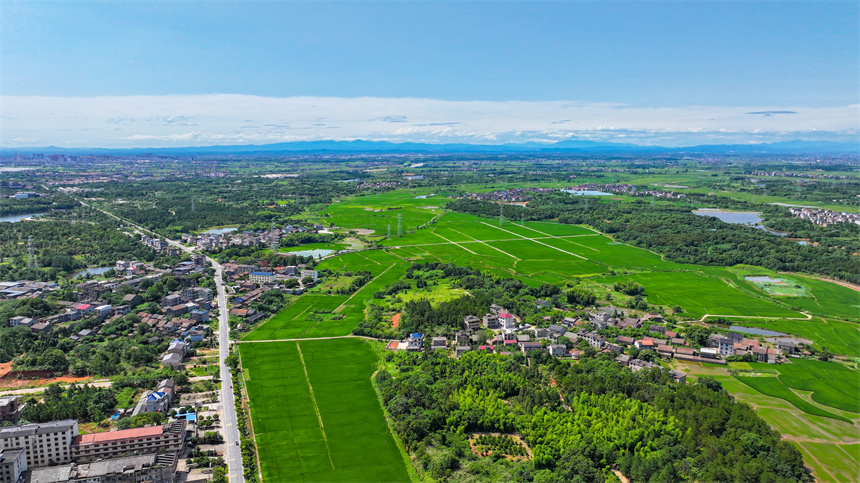 高標準農田里綠意盎然，與村莊、公路相映成景，勾勒出一幅生機勃勃的夏日田園畫卷。郭昊攝