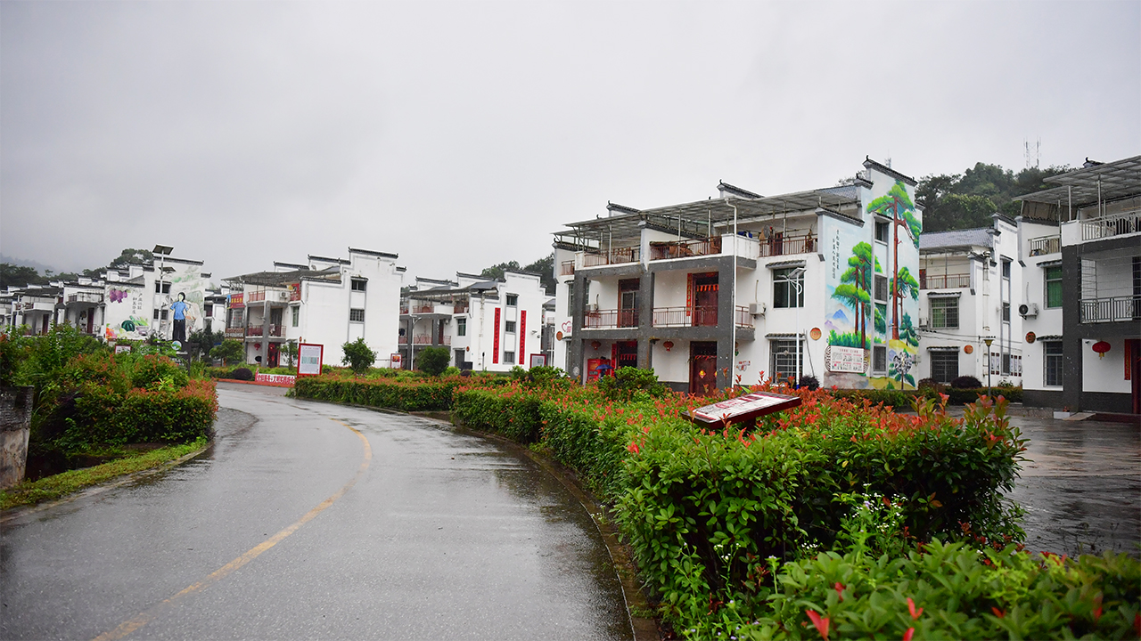 華屋新貌，一排排客家小樓整齊排列。