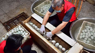 廖奶奶咸鴨蛋是如何制成的？選上農戶散養的上等土鴨蛋，經過清水洗凈、晾干，再裹上黃泥、鹽巴和草木灰，整整腌足兩個月。