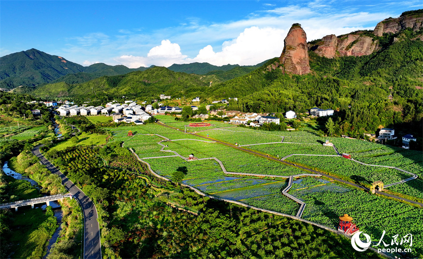 贛州市石城縣琴江鎮大畬村，錯落分布的農房與蓮田、山巒、旅游公路相映成景，構成一幅綠意盎然、和美宜居的山鄉畫卷。人民網 朱海鵬攝