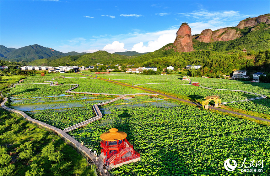 贛州市石城縣琴江鎮大畬村，錯落分布的農房與蓮田、山巒、旅游公路相映成景，構成一幅綠意盎然、和美宜居的山鄉畫卷。人民網 朱海鵬攝